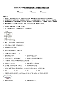 2023-2024学年徽省临泉物理八上期末监测模拟试题含答案