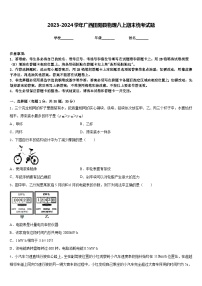 2023-2024学年广西田阳县物理八上期末统考试题含答案