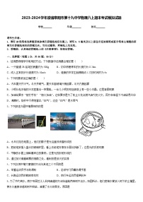 2023-2024学年徽省阜阳市第十九中学物理八上期末考试模拟试题含答案