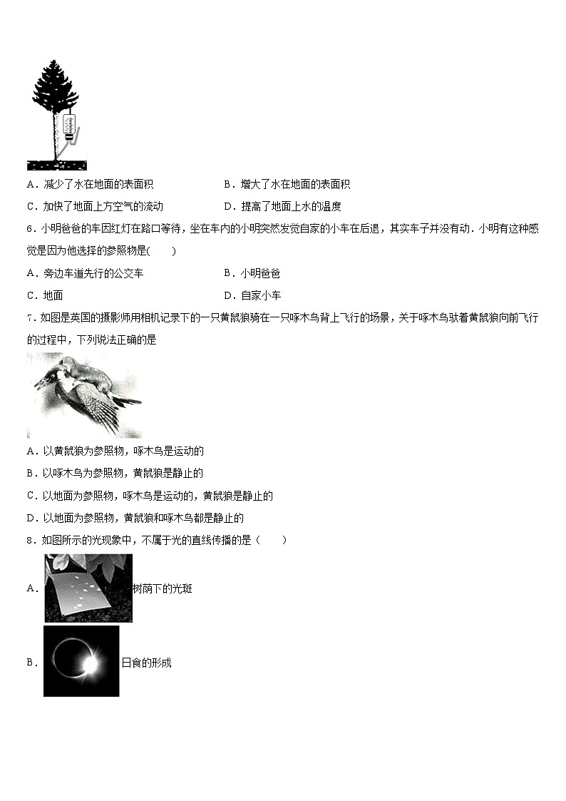 2023-2024学年徽省阜阳市第十九中学物理八上期末考试模拟试题含答案第2页