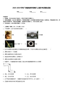 2023-2024学年广西省梧州市物理八上期末考试模拟试题含答案