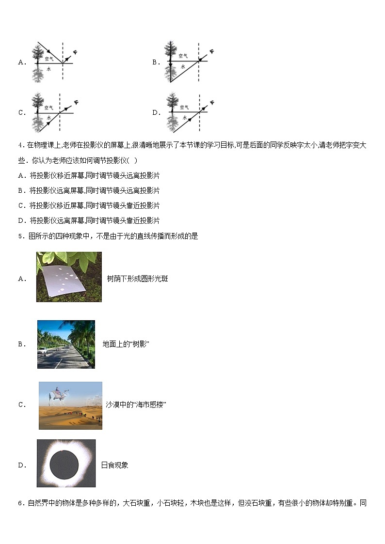 2023-2024学年广西省贺州市物理八上期末达标测试试题含答案02