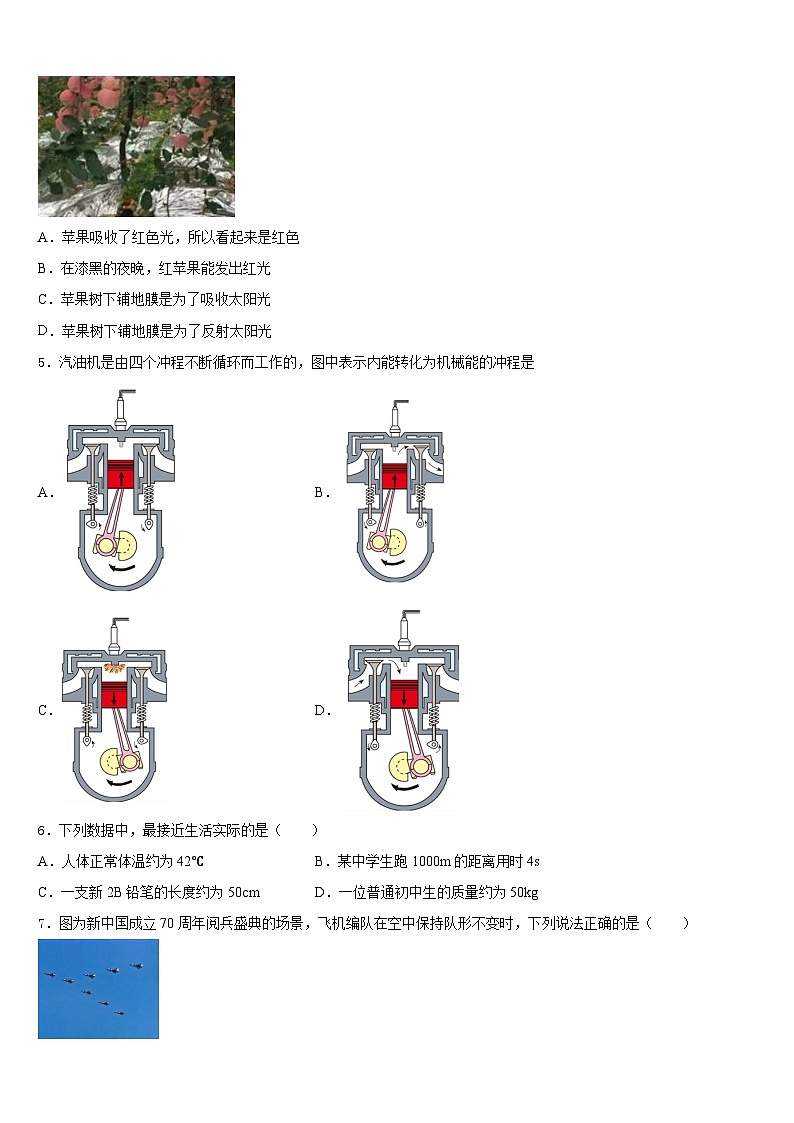 2023-2024学年江苏省南京市名校物理八上期末调研试题含答案第2页