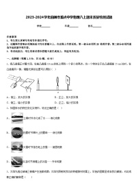 2023-2024学年曲靖市重点中学物理八上期末质量检测试题含答案