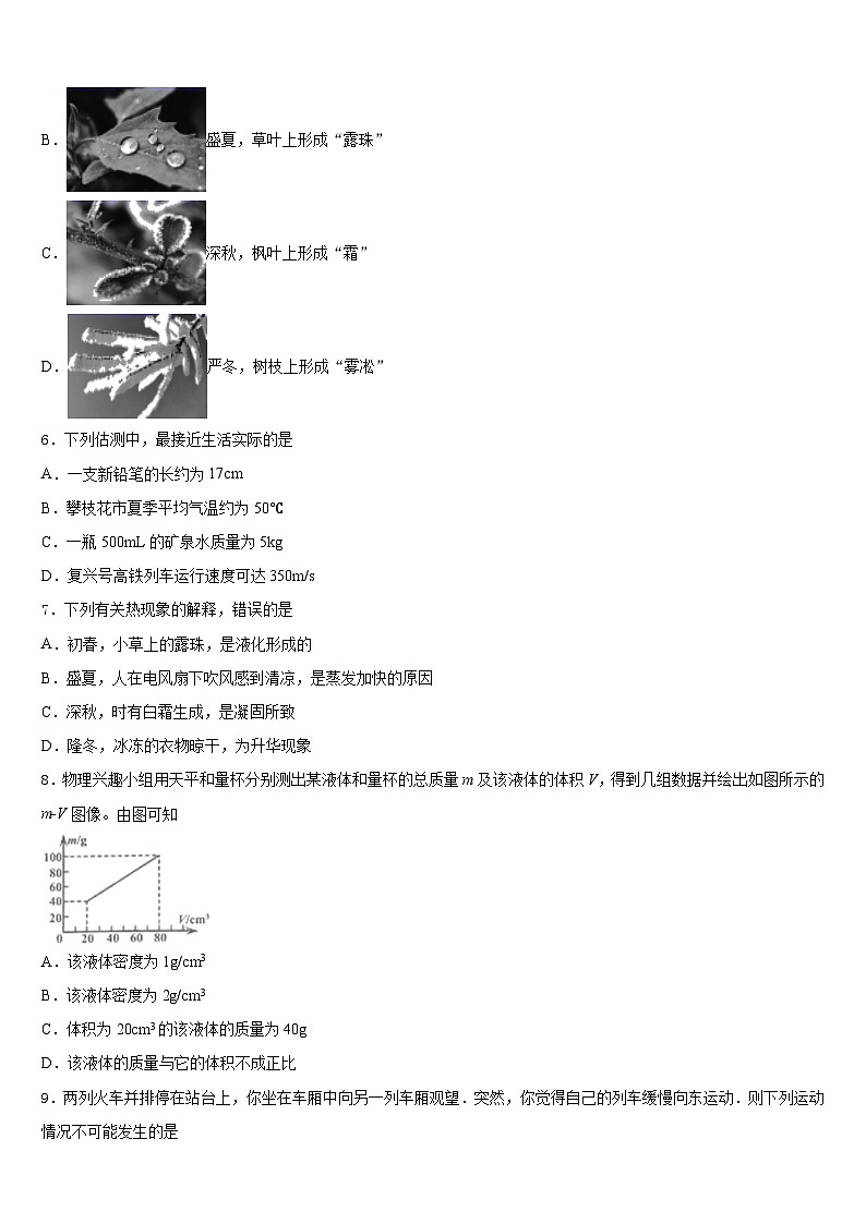 2023-2024学年江苏省兴化市乐吾实验学校物理八上期末检测试题含答案02