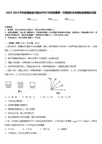 2023-2024学年期海南省五指山中学八年级物理第一学期期末质量跟踪监视模拟试题含答案