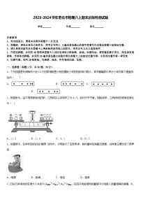 2023-2024学年枣庄市物理八上期末达标检测试题含答案