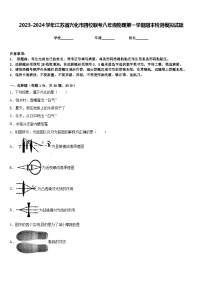 2023-2024学年江苏省兴化市四校联考八年级物理第一学期期末检测模拟试题含答案