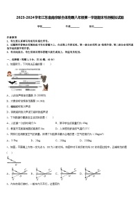 2023-2024学年江苏省南京联合体物理八年级第一学期期末检测模拟试题含答案