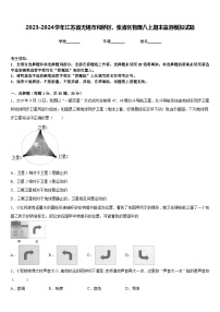 2023-2024学年江苏省无锡市和桥区、张渚区物理八上期末监测模拟试题含答案