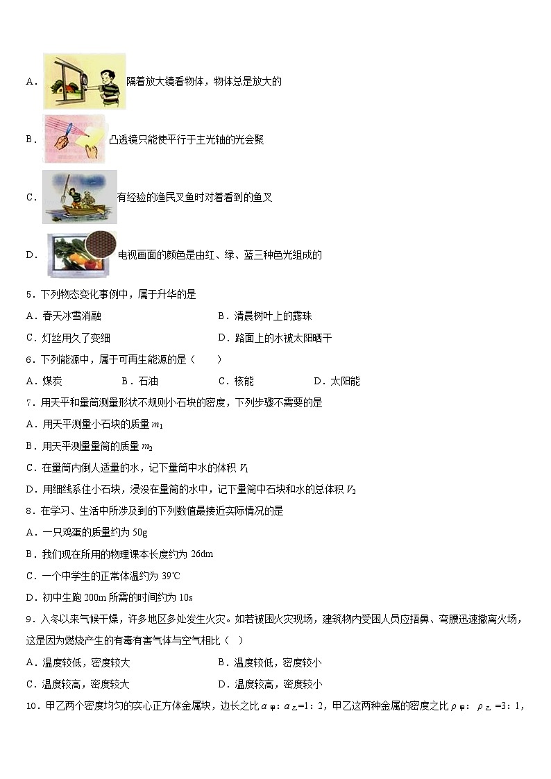 2023-2024学年江苏省泰兴市分界镇初级中学八年级物理第一学期期末监测试题含答案02