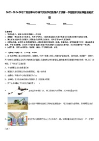 2023-2024学年江苏省泰州市靖江实验学校物理八年级第一学期期末质量跟踪监视试题含答案