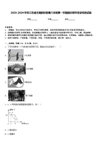 2023-2024学年江苏省无锡新区物理八年级第一学期期末教学质量检测试题含答案