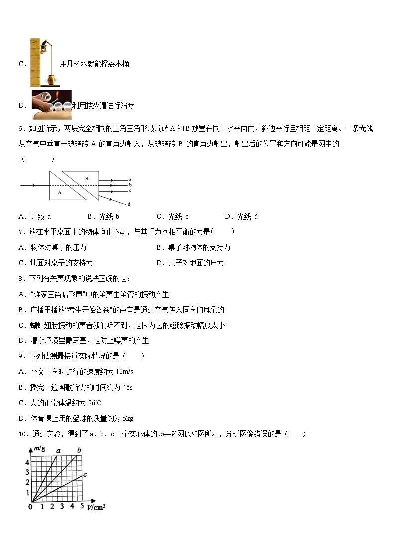 2023-2024学年江苏省泰州白马中学八年级物理第一学期期末经典试题含答案第2页