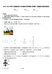 2023-2024学年江苏省盐城市大丰区部分学校物理八年级第一学期期末质量检测试题含答案