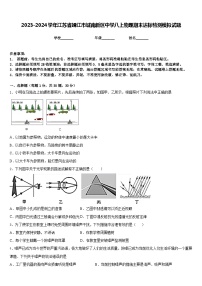 2023-2024学年江苏省靖江市城南新区中学八上物理期末达标检测模拟试题含答案