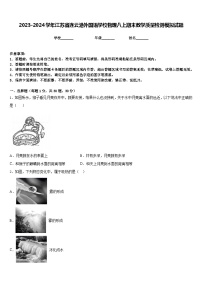 2023-2024学年江苏省连云港外国语学校物理八上期末教学质量检测模拟试题含答案