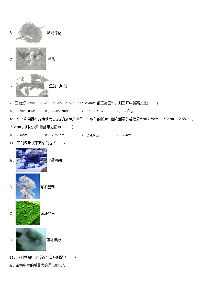 2023-2024学年江苏省苏州市苏州工业园区八年级物理第一学期期末学业质量监测试题含答案第3页