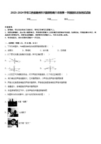 2023-2024学年江西省赣州市兴国县物理八年级第一学期期末达标测试试题含答案