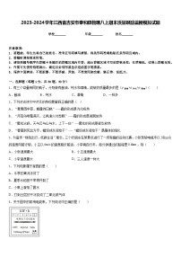 2023-2024学年江西省吉安市泰和县物理八上期末质量跟踪监视模拟试题含答案