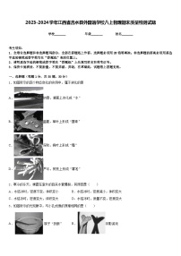 2023-2024学年江西省吉水县外国语学校八上物理期末质量检测试题含答案