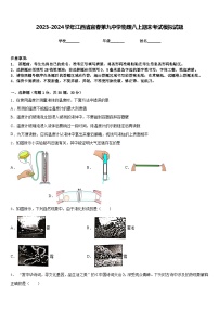 2023-2024学年江西省宜春第九中学物理八上期末考试模拟试题含答案