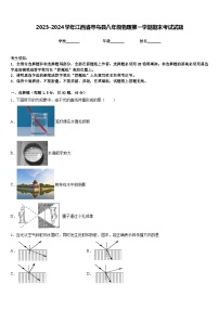 2023-2024学年江西省寻乌县八年级物理第一学期期末考试试题含答案