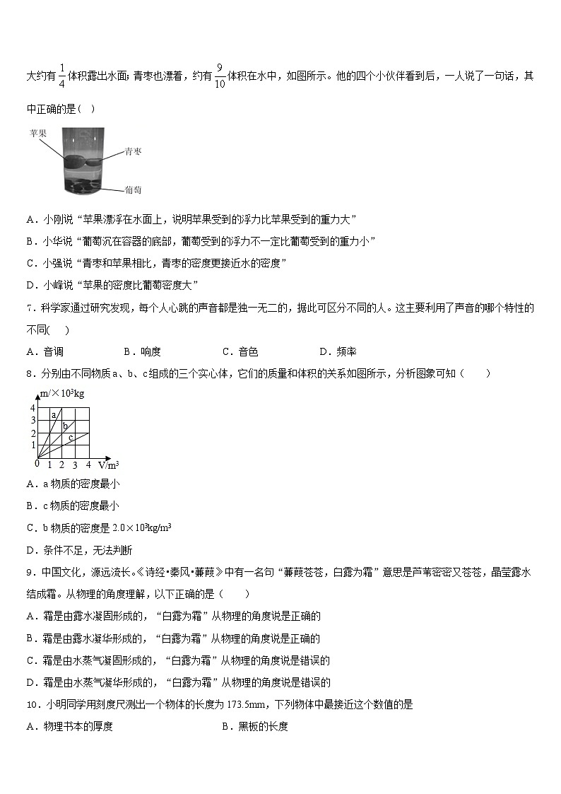 2023-2024学年河北沧州泊头市苏屯初级中学物理八年级第一学期期末综合测试试题含答案02