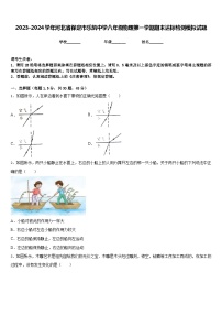 2023-2024学年河北省保定市乐凯中学八年级物理第一学期期末达标检测模拟试题含答案