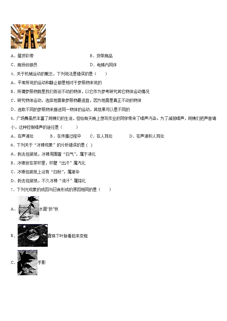 2023-2024学年河北省泊头市教研室物理八上期末检测模拟试题含答案02