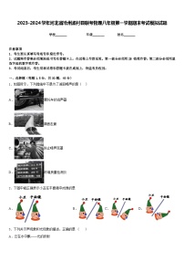 2023-2024学年河北省沧州孟村县联考物理八年级第一学期期末考试模拟试题含答案