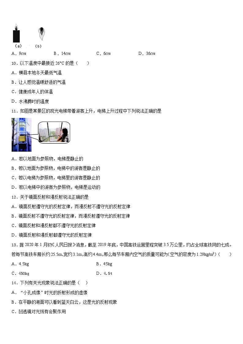 2023-2024学年河北省承德市隆化县八上物理期末经典模拟试题含答案03