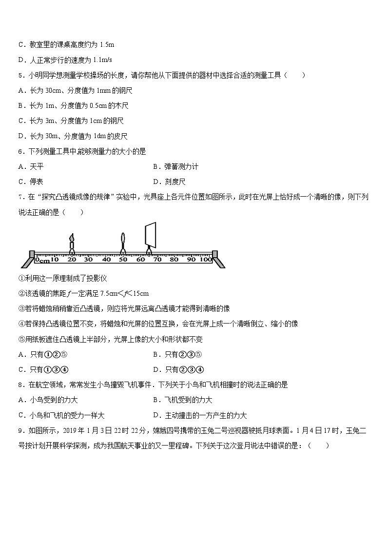 2023-2024学年河北省定州市杨家庄初级中学物理八上期末质量跟踪监视模拟试题含答案02