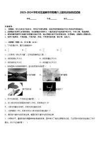 2023-2024学年河北省廊坊市物理八上期末达标测试试题含答案