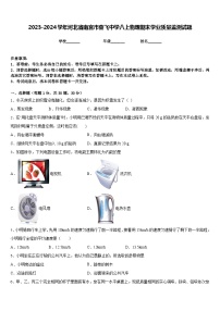 2023-2024学年河北省南宫市奋飞中学八上物理期末学业质量监测试题含答案