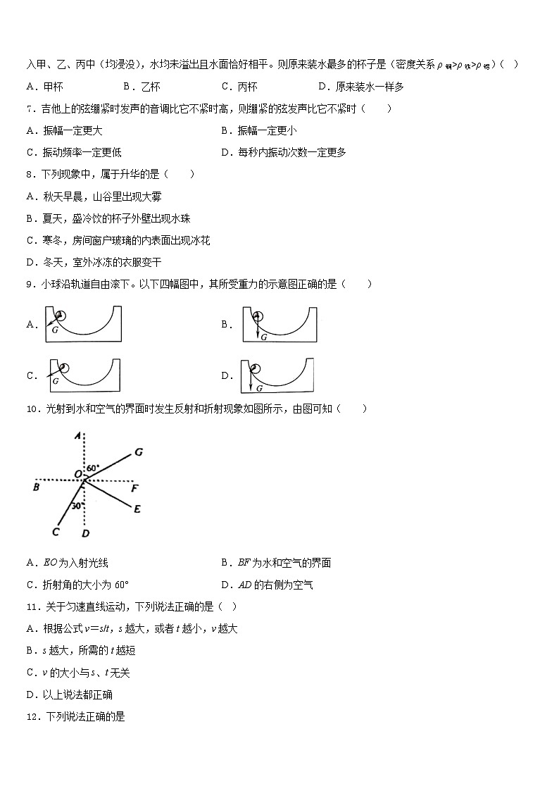 2023-2024学年河北省南宫市奋飞中学八上物理期末学业质量监测试题含答案02