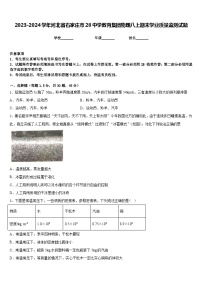 2023-2024学年河北省石家庄市28中学教育集团物理八上期末学业质量监测试题含答案