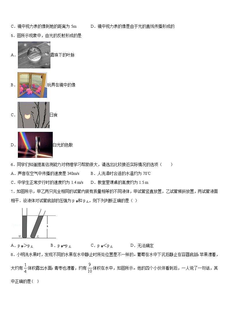 2023-2024学年河北省临西县八年级物理第一学期期末质量跟踪监视试题含答案第2页