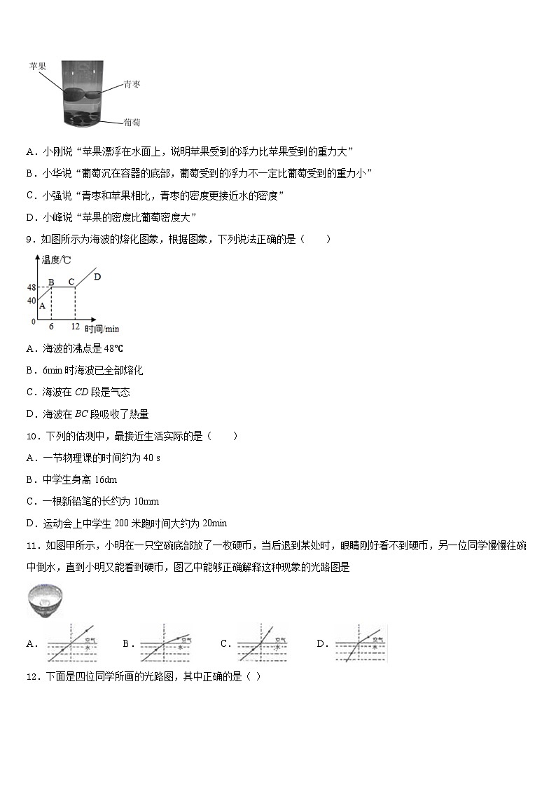 2023-2024学年河北省临西县八年级物理第一学期期末质量跟踪监视试题含答案第3页