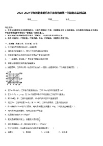 2023-2024学年河北省新乐市八年级物理第一学期期末监测试题含答案