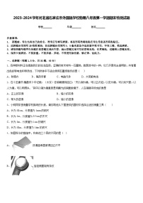 2023-2024学年河北省石家庄市外国语学校物理八年级第一学期期末检测试题含答案