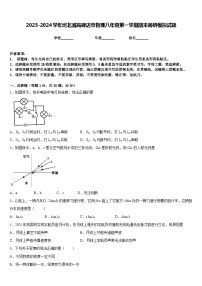 2023-2024学年河北省高碑店市物理八年级第一学期期末调研模拟试题含答案