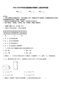 2023-2024学年河北省高碑店市物理八上期末统考试题含答案