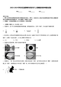 2023-2024学年河北省邯郸市武安市八上物理期末联考模拟试题含答案