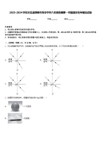 2023-2024学年河北省邯郸市育华中学八年级物理第一学期期末统考模拟试题含答案