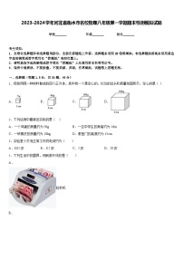 2023-2024学年河北省衡水市名校物理八年级第一学期期末检测模拟试题含答案