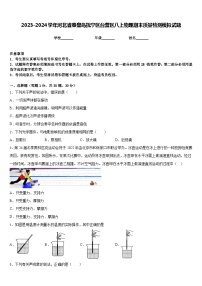 2023-2024学年河北省秦皇岛抚宁区台营区八上物理期末质量检测模拟试题含答案