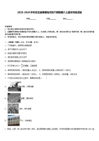 2023-2024学年河北省秦皇岛市抚宁县物理八上期末检测试题含答案