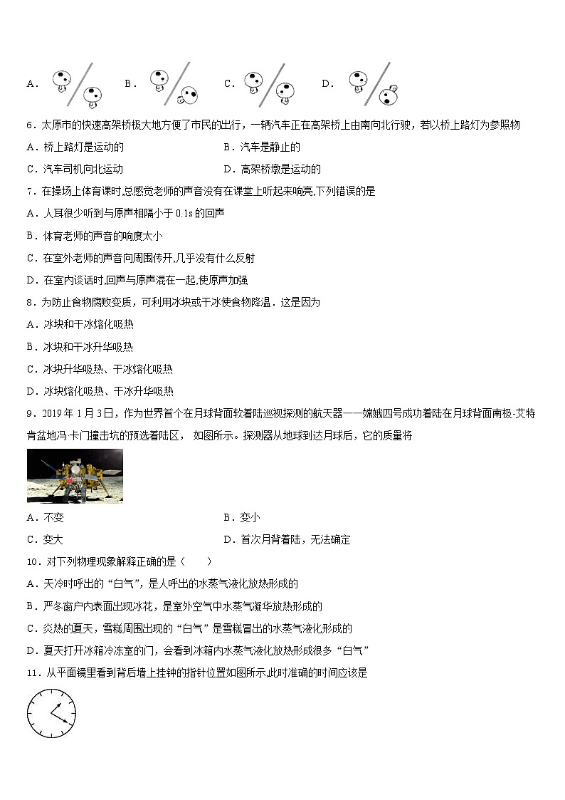 2023-2024学年河北省秦皇岛市青龙满族自治县物理八上期末考试试题含答案第2页