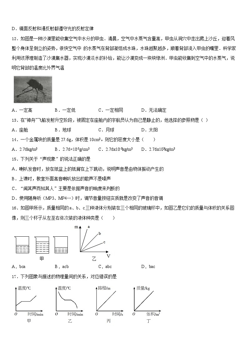 2023-2024学年河北省石家庄赵县联考物理八上期末调研模拟试题含答案03